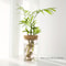 Desktop Hydroponics Glass Planter Plant Propagation Station Bud Vase Vase For Home Decoration 6