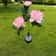 Pink Solar Garden Lights Waterproof 3 Head Peony Flowers Lamps For Yard Outdoor Pathway Christmas L
