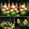 Shore Flowers Solar Lights, Outdoor Garden Decoration, Lawn Courtyard Lighting