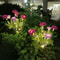 Solar Garden Light Snow Lotus Flower, Solar Lights Outdoor Lighting, Lawn Lamp for Patio Yard Flower Party Lamp