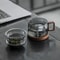 Reusable Multifunctional Glass Tea Cup with Filter, Heat Resistant, Ideal for Loose Leaf Tea and Fruit Infusions