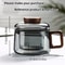 Reusable Multifunctional Glass Tea Cup with Filter, Heat Resistant, Ideal for Loose Leaf Tea and Fruit Infusions