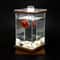 Mini Rotating Aquarium LED Cylindrical Fish Tank Desktop Glass Aquarium Decoration For Office And H 4