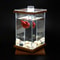 Mini Rotating Aquarium LED Cylindrical Fish Tank Desktop Glass Aquarium Decoration For Office And H 4