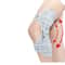 Adjustable Knee Protection Booster Breathable Knee Assistive Device NonSlip Spring Stabilizer 6