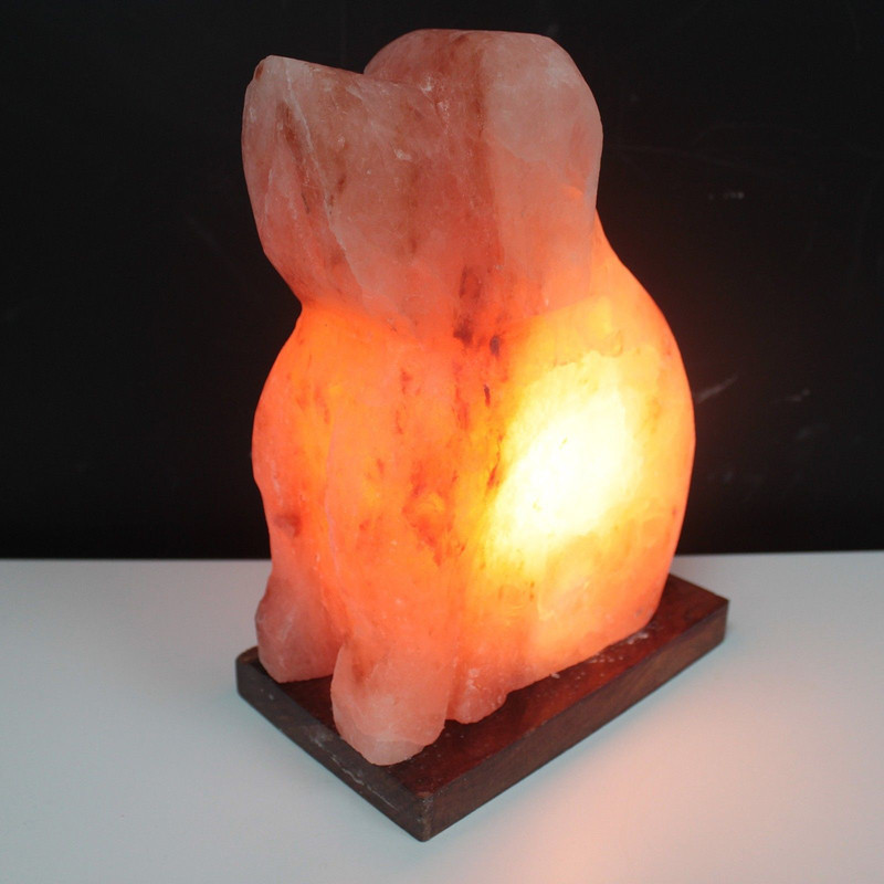Dog Himalayan Salt Lamp Real Pink Salt 610 LBS With Dimmer 0