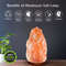 Dog Himalayan Salt Lamp Real Pink Salt 610 LBS With Dimmer 4