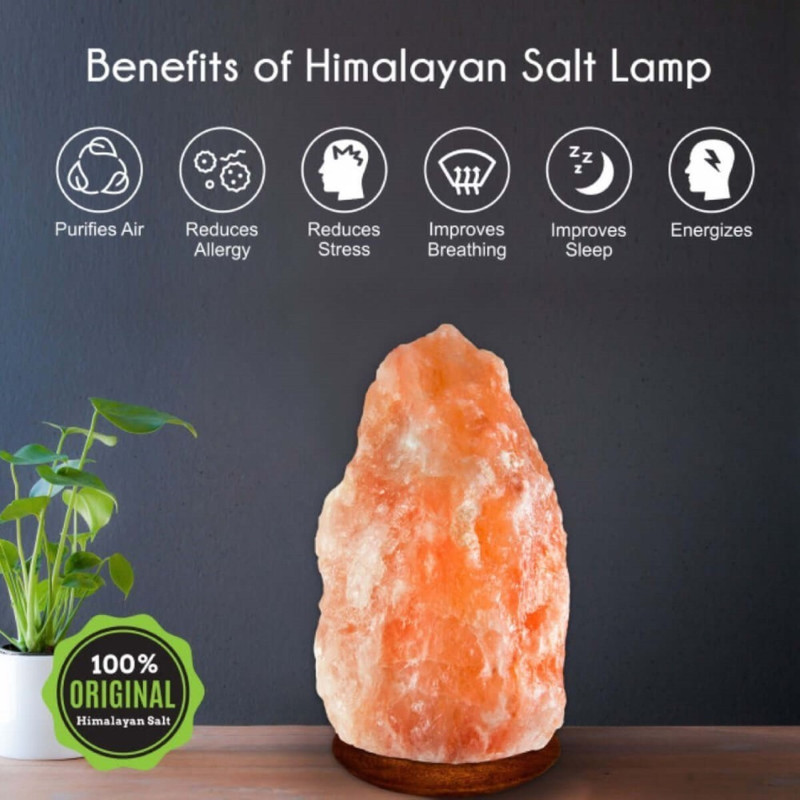 Dog Himalayan Salt Lamp Real Pink Salt 610 LBS With Dimmer 4