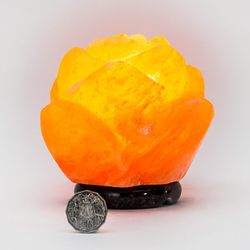 scarlet rose himalayan salt lamp - real pink salt, 6-10 lbs with dimmer