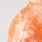 Original Himalayan Salt Lamp Large  Real Pink Salt 610 LBS With Dimmer 3