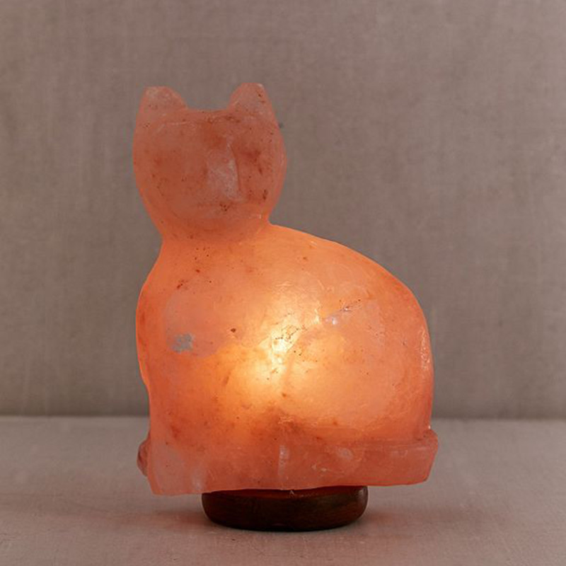 Cat Himalayan Salt Lamp  Real Himalayan Pink Salt  Salt Rock Lamp  Himalayan Salt Rock  Salt Light  From Pakistan 0