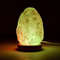Color Changing Himalayan Salt Lamp mini Handmaade Real Pink Salt 610 LBS 2