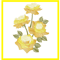 Yellow Roses Embroidery Design Multiple Formats Available 0