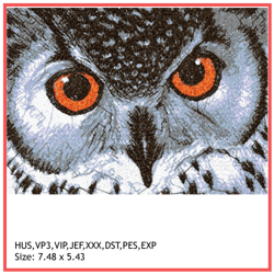 owl photo stitch embroidery design - multiple formats available.