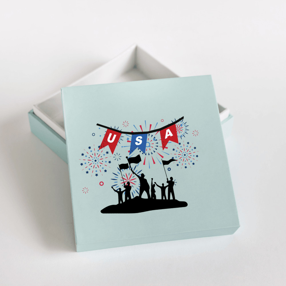 USA Independence Day 0