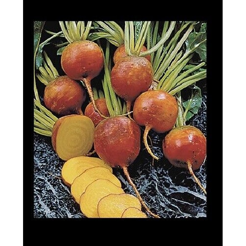 Burpees Golden Beets 30100200400 Seeds 1