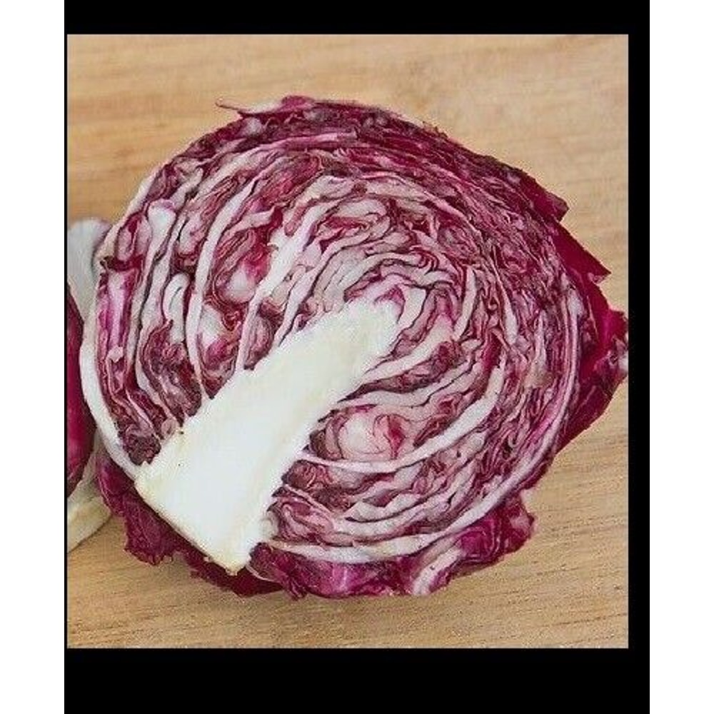 Radicchio Rouge De Verona 100 5000 Seeds 1