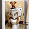 Airedale Terrier Sitting On The Toilet And Reading NewspaperFun Bathroom Wall Decor Fun And Quirky  4