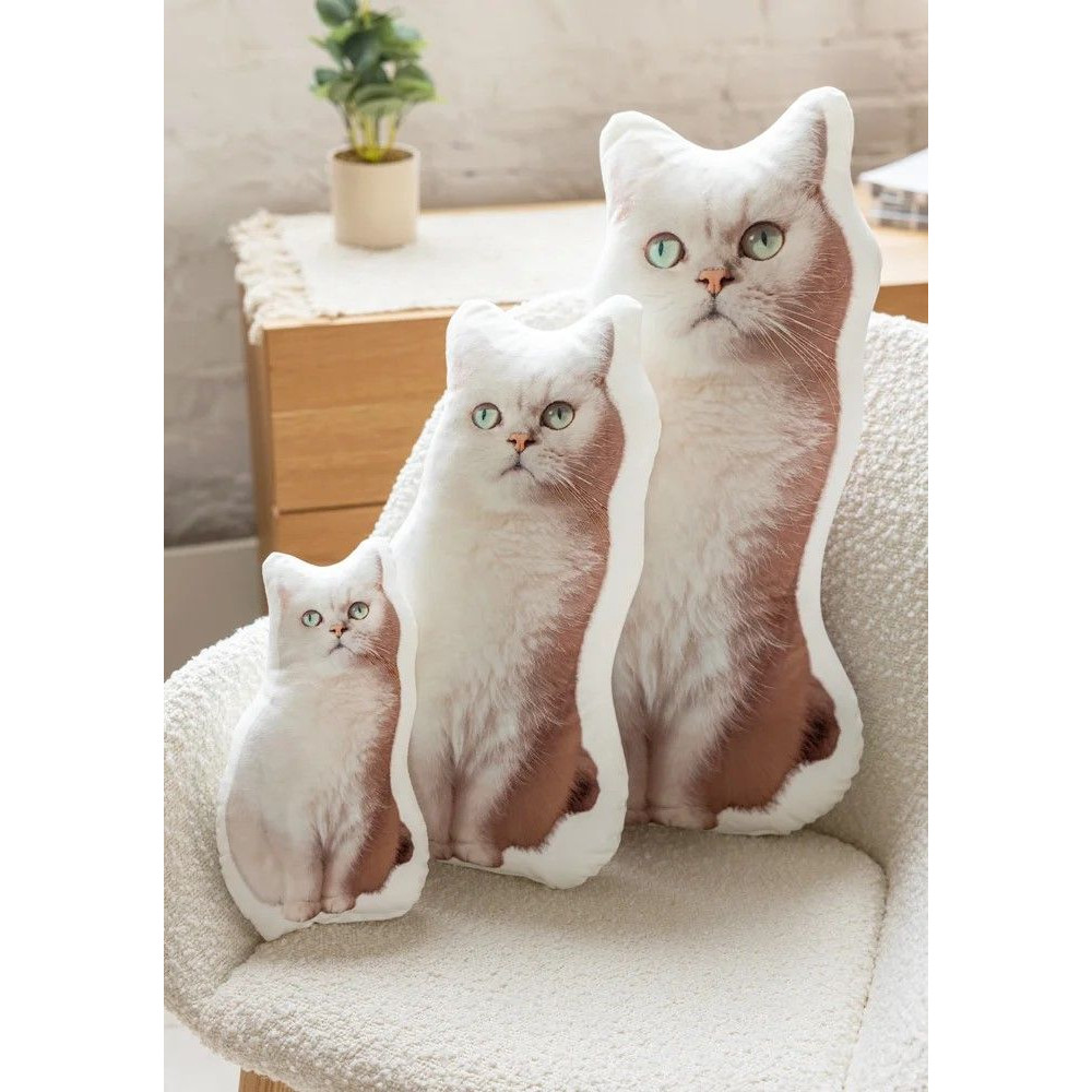 Customshaped Pillow 4