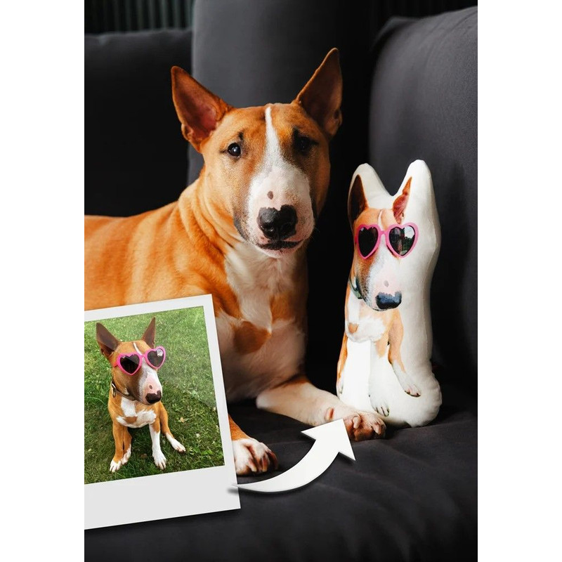 Customshaped Pillow 2