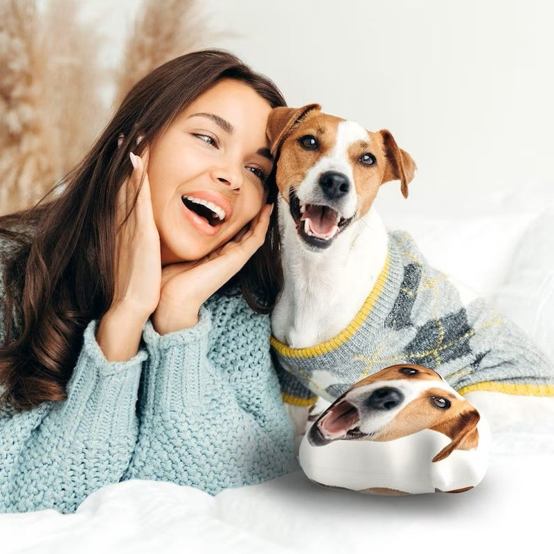 Customshaped Pillow 1