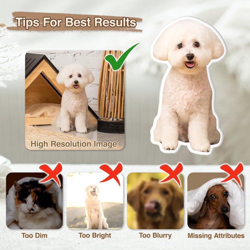 Customshaped Pillow 3