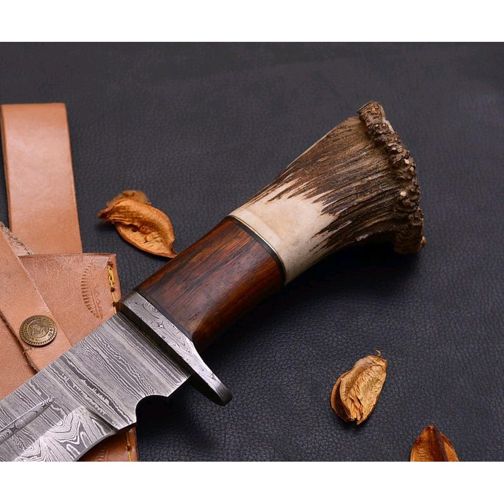 Custom Handmade Forged Damascus Steel EDC Hunting Bowie Knife Crown Stag Horn Handle Comes With Lea 4