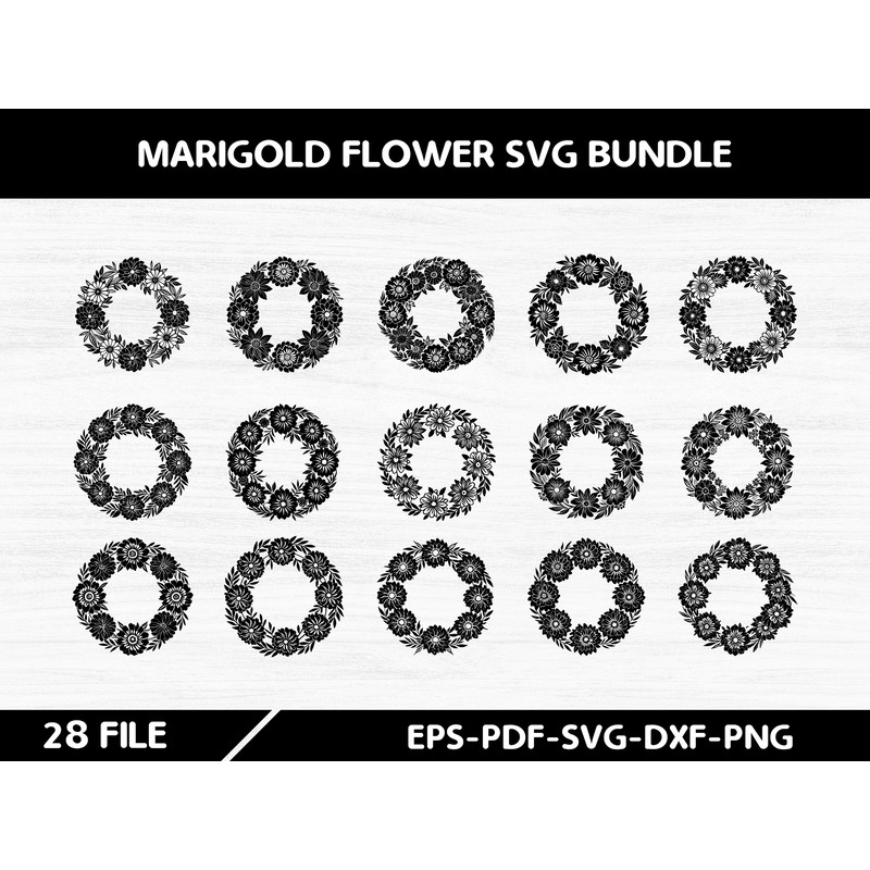 Marigold Flower 3 0