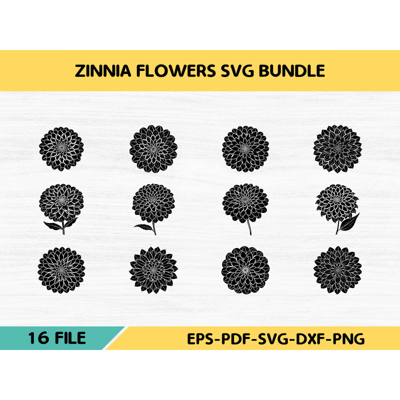 Zinnia Flowers 0