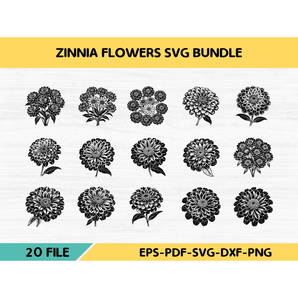 Zinnia Flowers 1 0