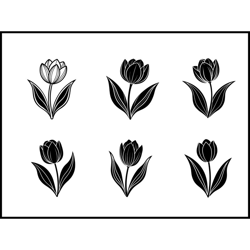 Tulip Flower 1 1