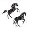 Horses 2