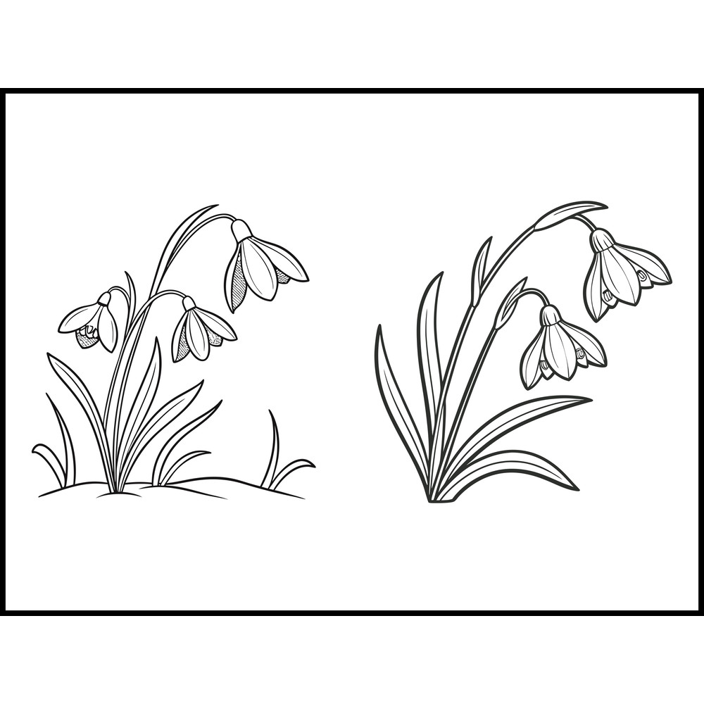 Snowdrop Plotter File 2