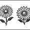 Daisy 1 2