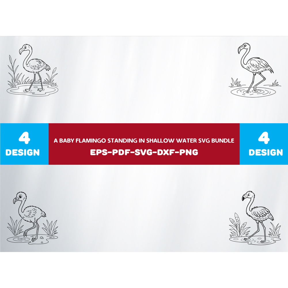 A Baby Flamingo Standing In Shallow Water 0