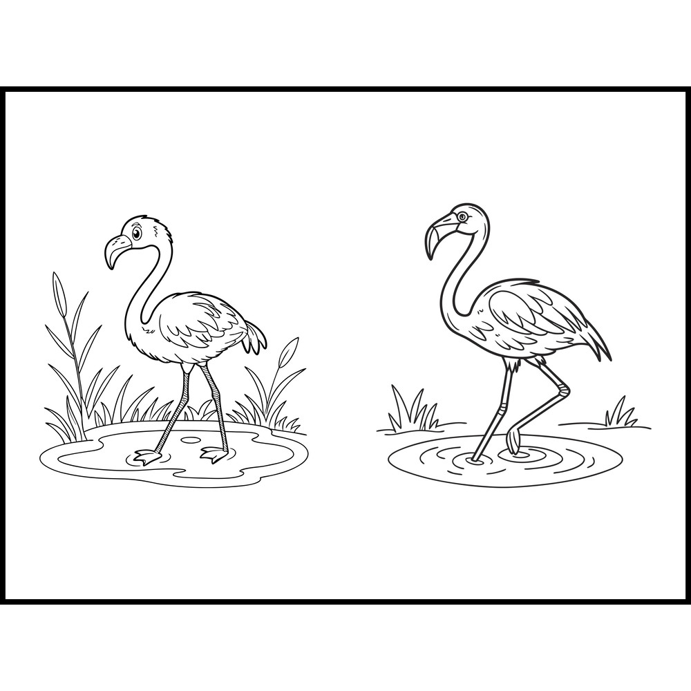 A Baby Flamingo Standing In Shallow Water 1