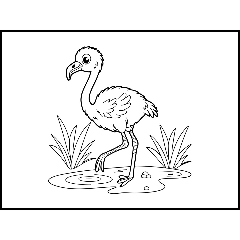 A Baby Flamingo Standing In Shallow Water 2