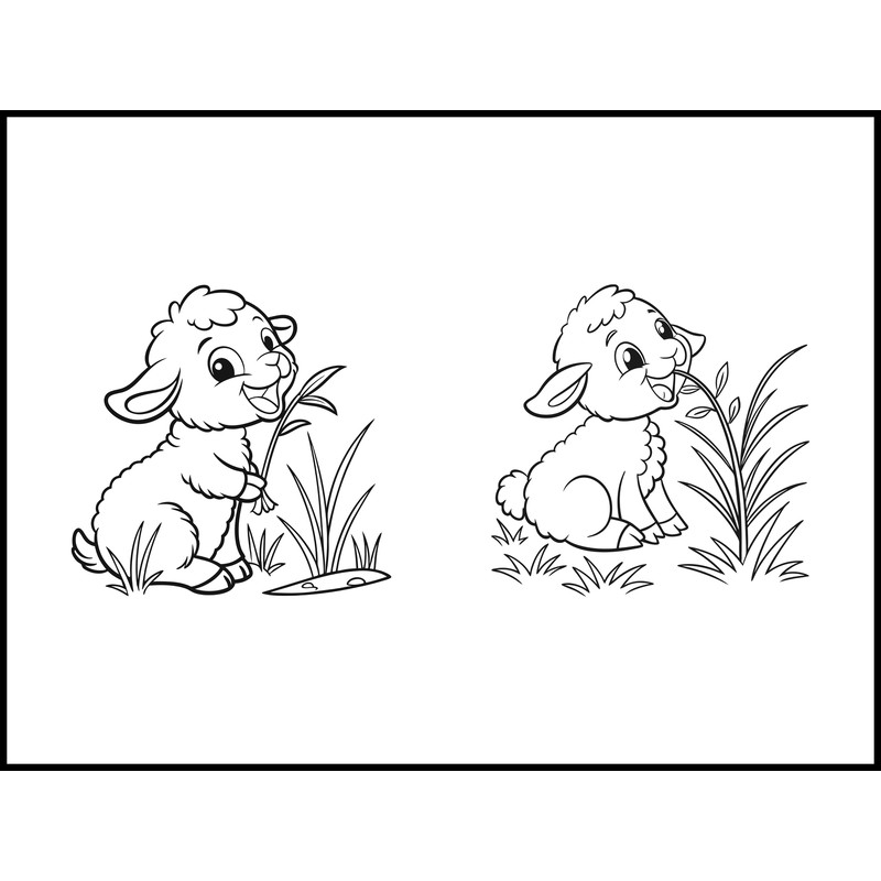 Sheep Baby Sitting In The Grass 1