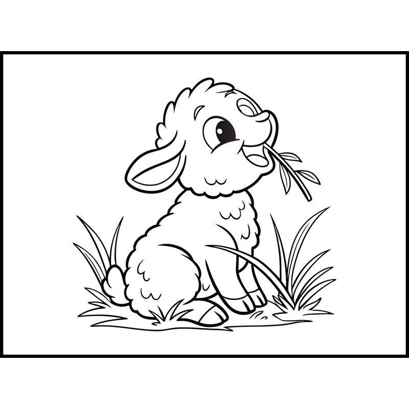 Sheep Baby Sitting In The Grass 2