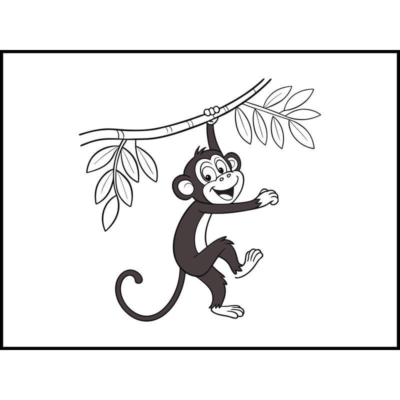 The Monkey Has A Wide Smile 2