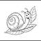 The Snail Is Crawling On A Leaf 2
