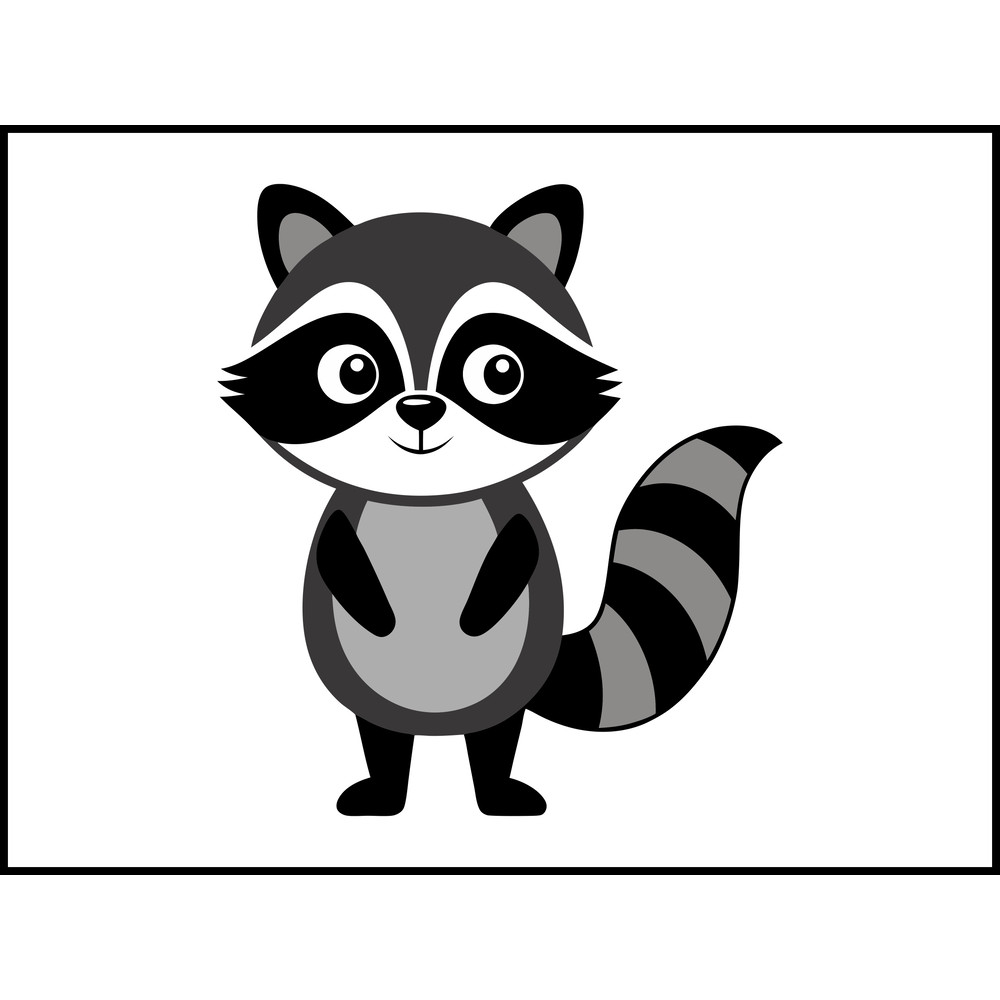 Beautiful Raccoon 2