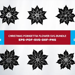 christmas poinsettia flower