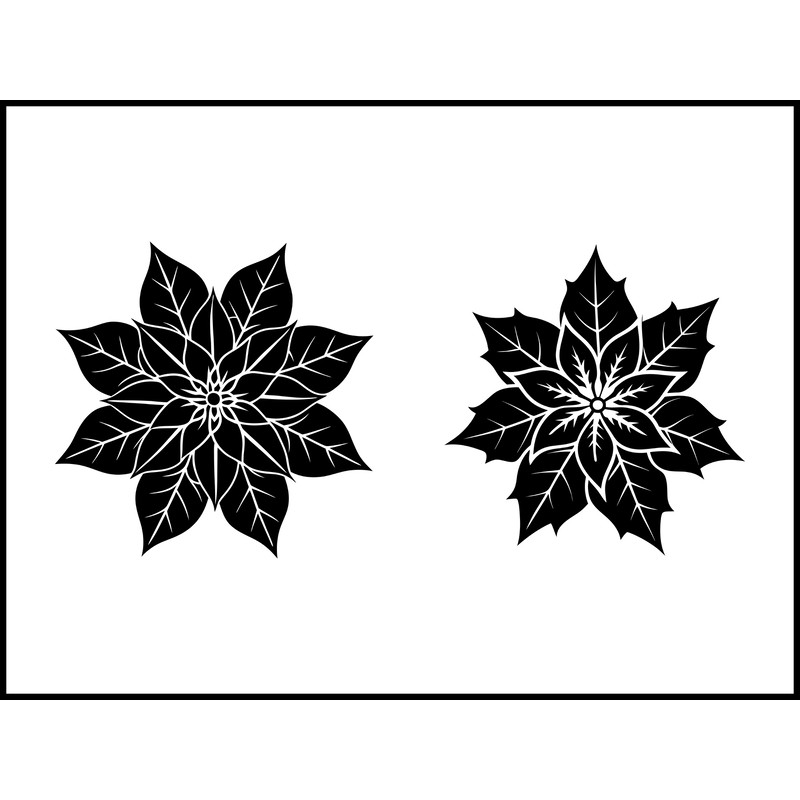 Christmas Poinsettia Flower 1