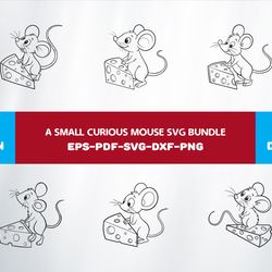 a small curious mouse