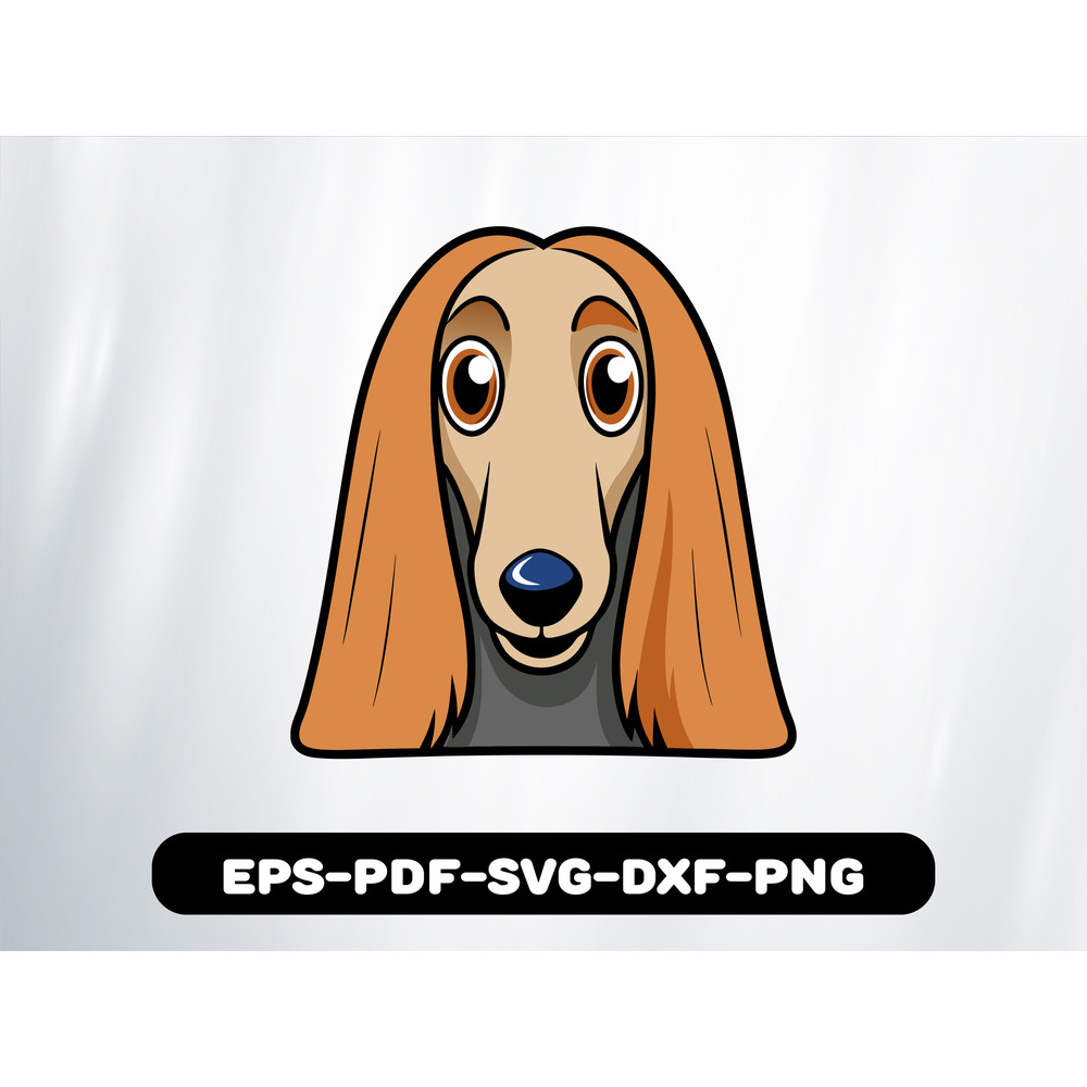 Afghan Hound 0
