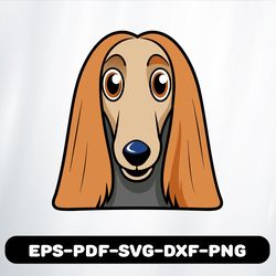 afghan hound