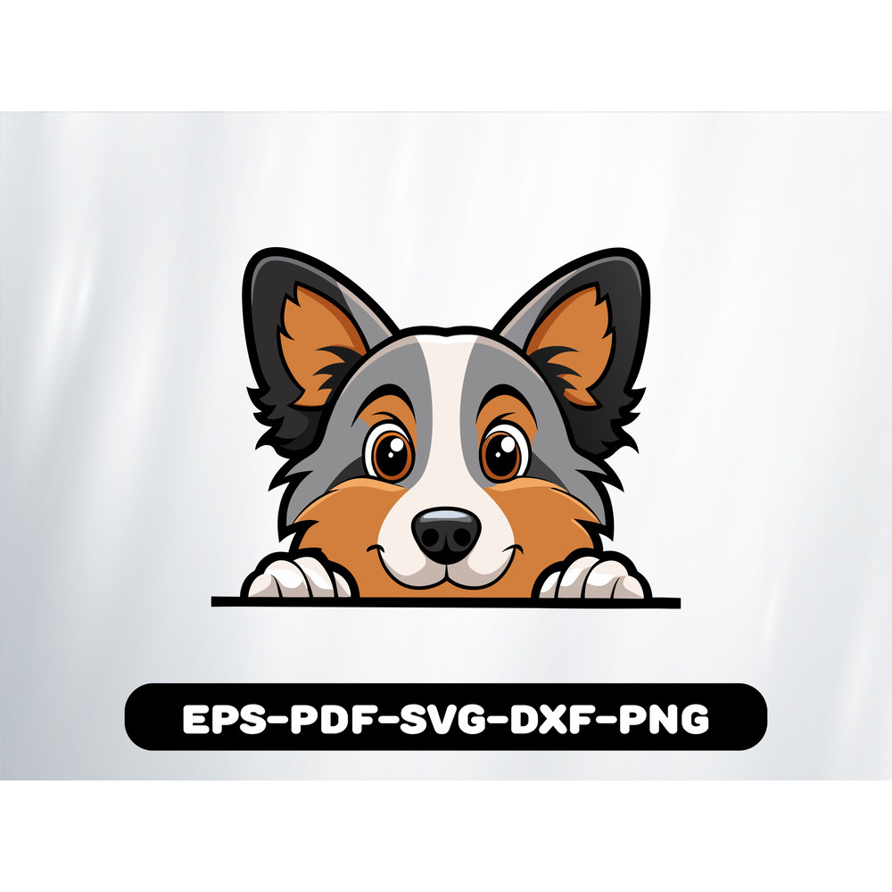 Australian Shepherd 0