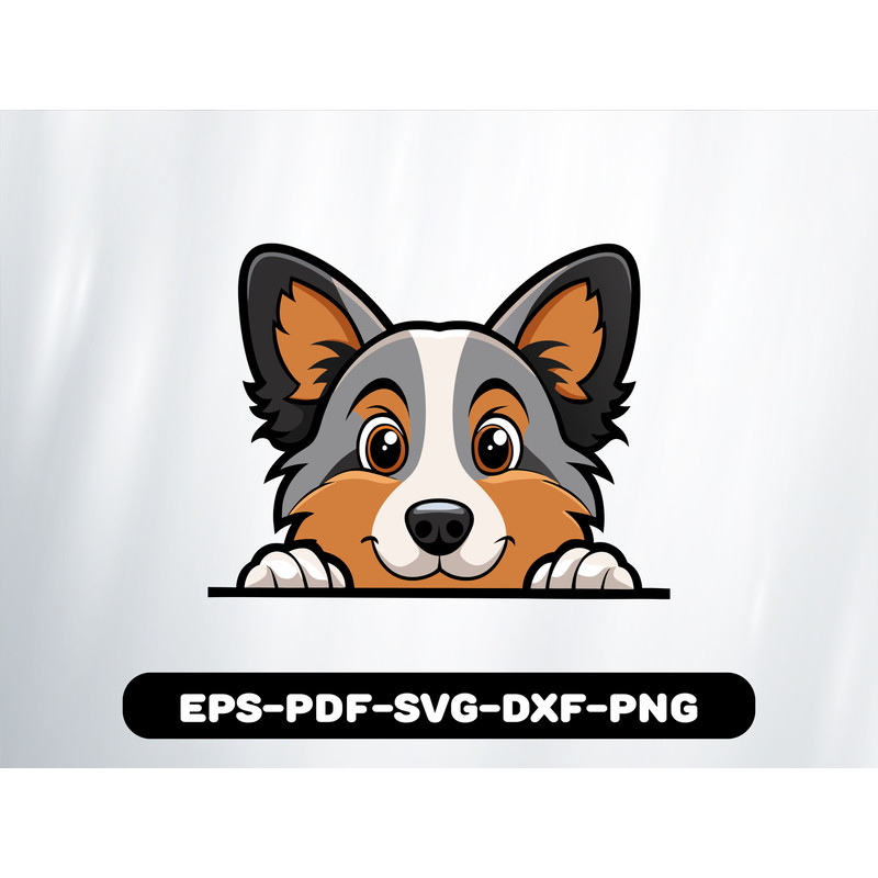 Australian Shepherd 0