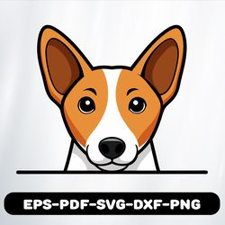basenji